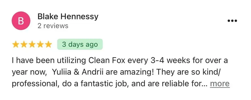 cleanfoxcleaning.com review