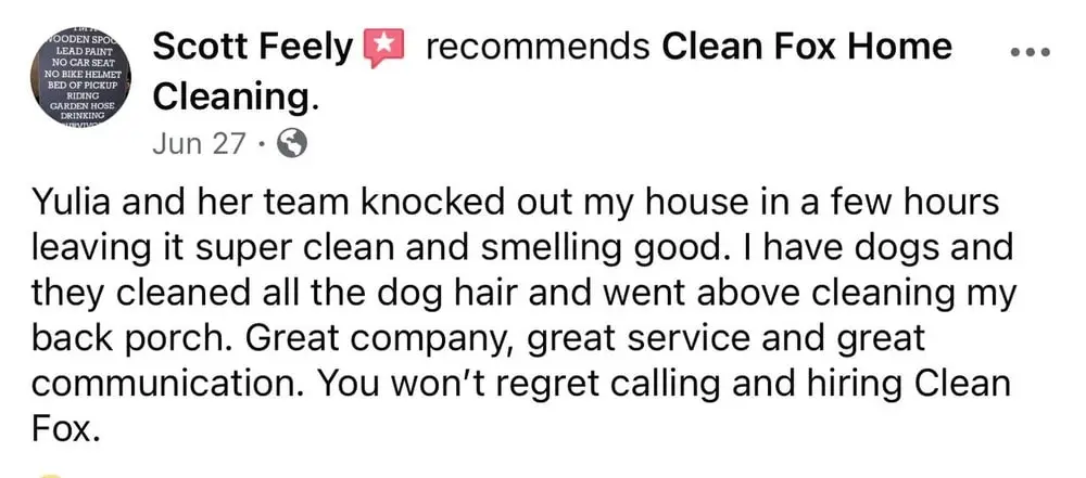 cleanfoxcleaning.com review