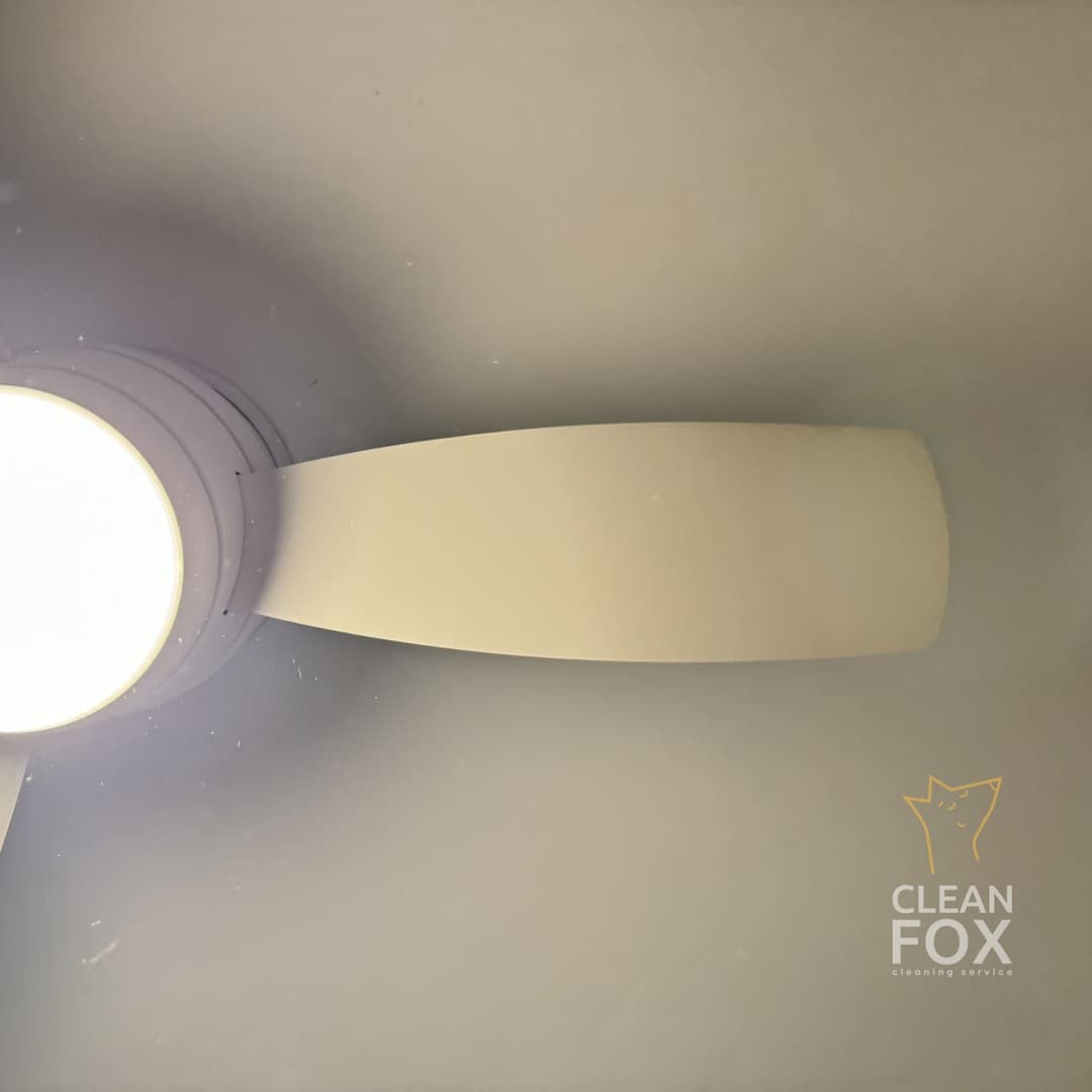 After cleaning